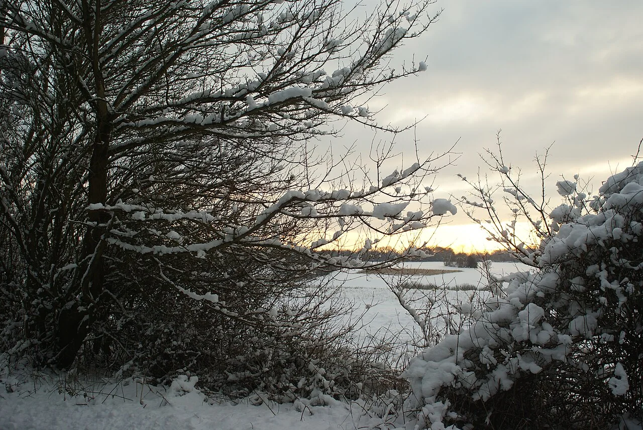 Snow in the Landscape geograph.org.uk 1655896 — representative context visual. Shown from the cited image source.
