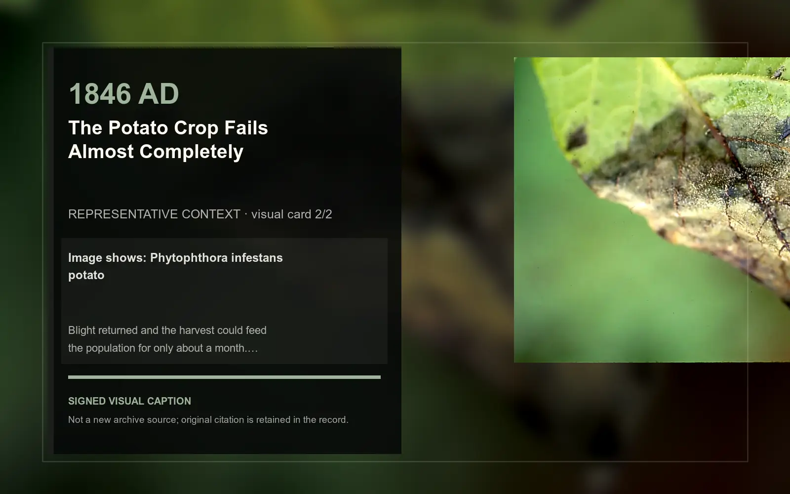 Phytophthora infestans potato — representative context visual. Event-specific signed card derived from the cited source.